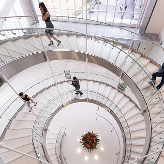 Screenshot 2025-11-20 at 22-49-15 istockphoto-966777838-170667a.jpg (Image JPEG 509 × 339 pixels)